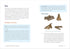 Wilderness Survival Skills For